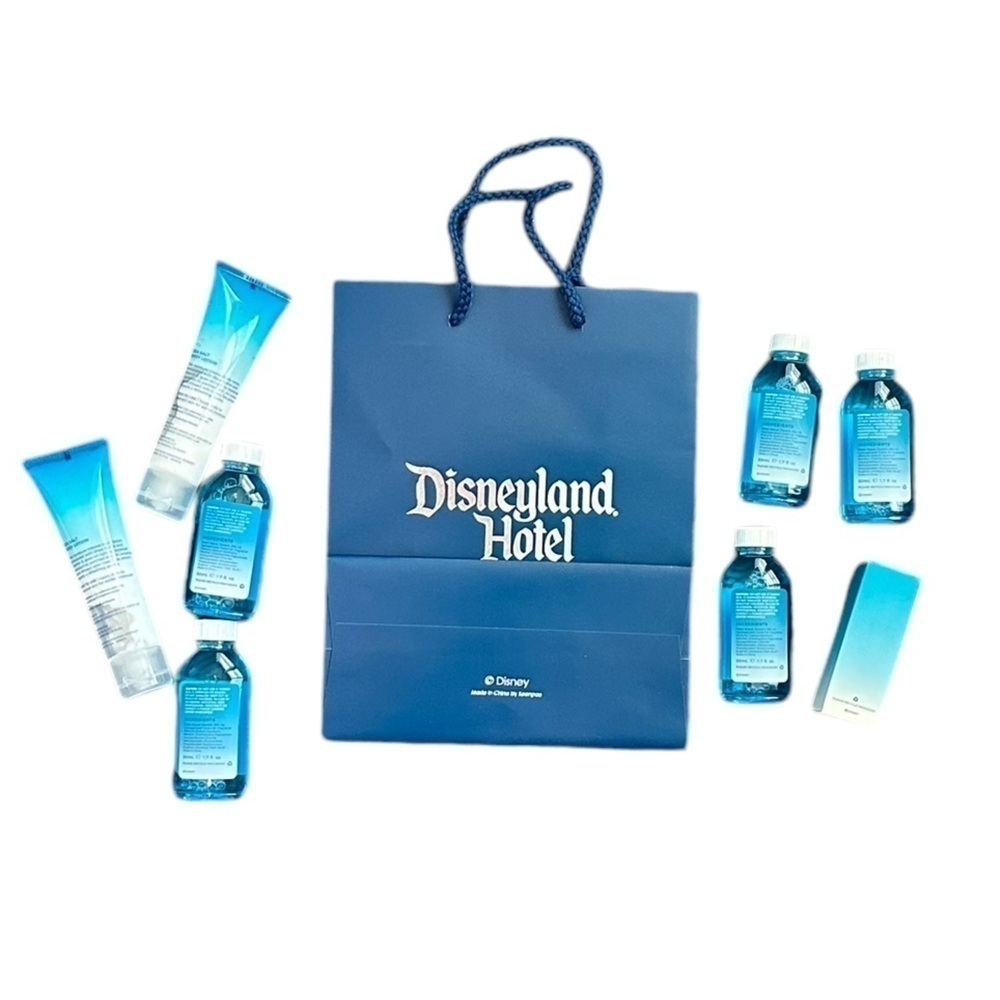 NEW Disneyland Resort Bag and H20 Toiletries Set - Picture 3 of 3